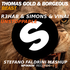 R3hab & Vinai Vs Thomas Gold & Borgeous - Unstoppable Beast (Stefano Faldrini Mashup)
