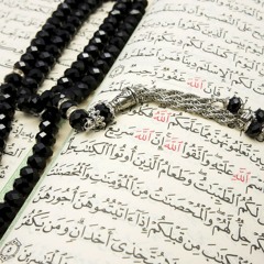 وليد مهساس