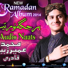 Tera Dar Mil Gia Mujh Ko - Umair Zubair Qadri