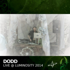 Dodd - Live From The Lounge @ Luminosity 2014