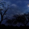 Raat