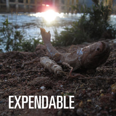 Expendable [Willie Hutch]