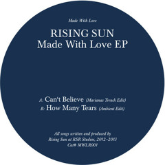 How Many Tears (Ambient Edit)