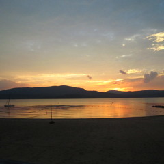 Viper Vixen Siren Ribbon