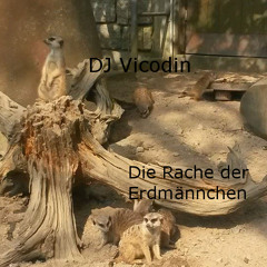 DJ Vicodin - Die Rache der Erdmaennchen
