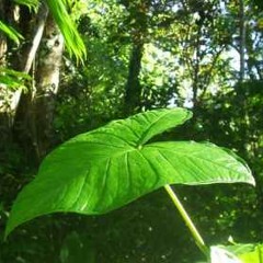 Justin Bieber - Hold Tight remix