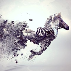 Mohan Karthik - Gallop