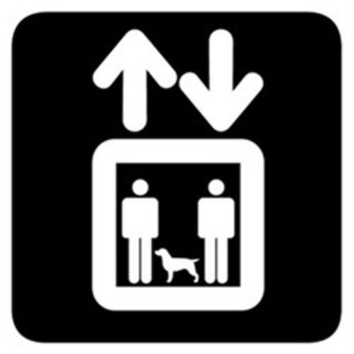 Stream Grand Strangers Listen to Dogs In Elevators playlist online