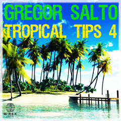 Gregor Salto - Tropical Tips 4 (Continuous DJ Mix)