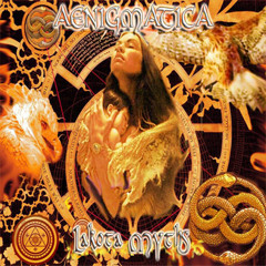 Aenigmatica - Lakota Myths