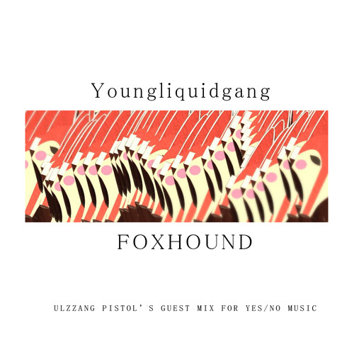 Y/N Guest Mix 014 :: Ulzzang Pistol's Youngliquidgang FOXHOUND Mix