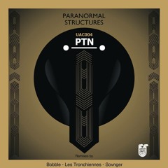 PTN - Paranormal Structures (Sovnger remix) PREVIEW