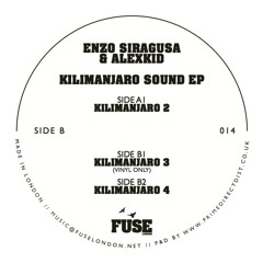 Enzo Siragusa & Alexkid - Kilimanjaro3 (Vinyl Only) (FUSE014)