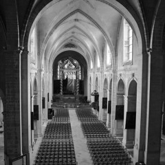 2014 07 14 Verdun, V. Warnier, GUILMANT Marche funèbre et Chant séraphique