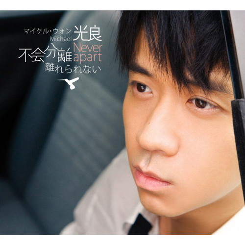 Guang Liang (光良) - Bu Hui Fen Li (不會分離) - never apart