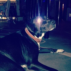 Mi Negra (Original Mix)