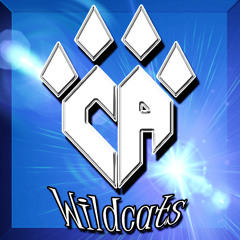 Cheer Athletics Wildcats Worlds 2014