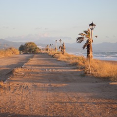 Sunset (Original Mix)