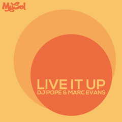 Marc Evans