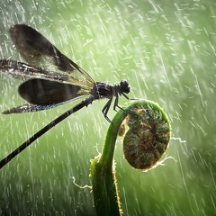 noiseInfect - Chill Bass Trip