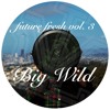 Future Fresh Vol. 3: Big Wild