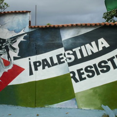 RESISTE PALESTINA- BANDA ROOTS DE MARACAY Reggae