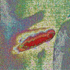 Corpse Raper (feat DJ-Randomized)