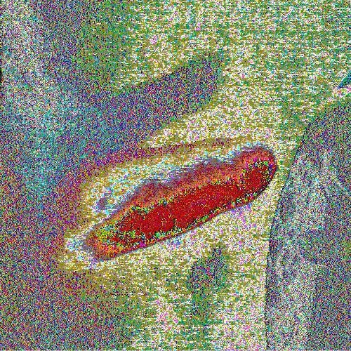 Corpse Raper (feat DJ-Randomized)