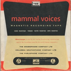 Cadillac Eldorado Biarritz