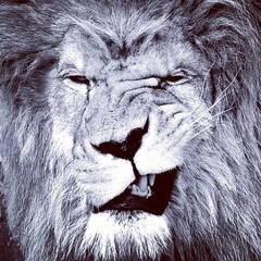 Neon Taylor - V F R I C V  (Instrumental)