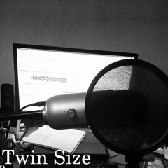 Twin Size - The Front Bottoms (cover)