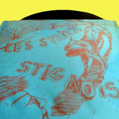 Stig Noise 7" - Skatty Favella Broadcasting Federation
