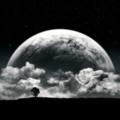 Rise