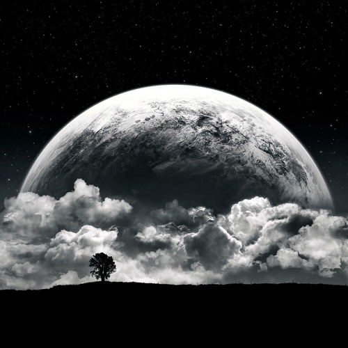 Rise