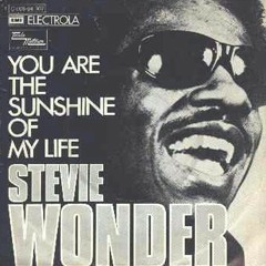 You Are The Sunshine Of My Life - Stevie Wonder (cover)