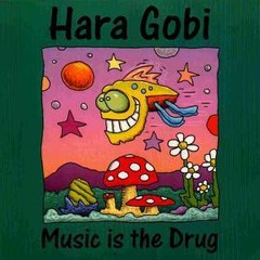 Hara Gobi - Get Lost