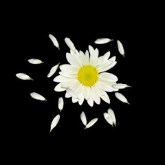 BrokenHearted Karmin (acoustic cover)