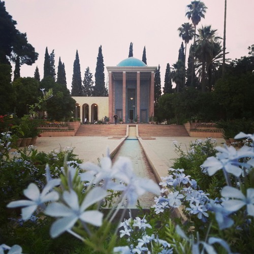 ما کجاییم در این بحر تفکر، تو کجایی-#سعدی علیه الرحمه