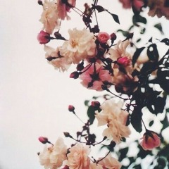 the only exception- with Veronica Suwanang R.