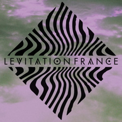 LEVITATION FRANCE 2014 - official mixtape by Al Lover