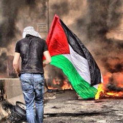 Lowkey - Long Live Palestine