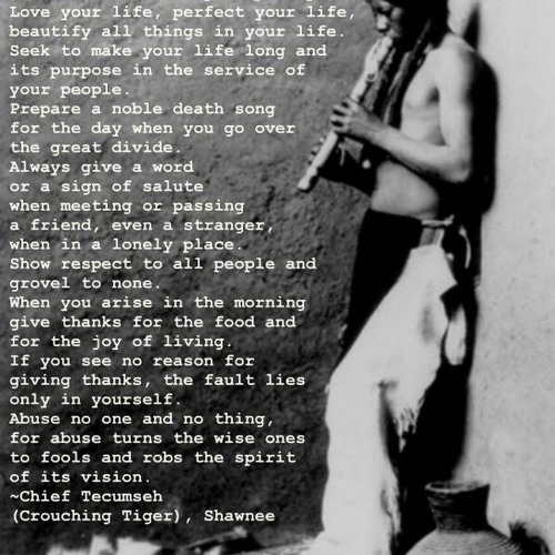 Amalgumtree (imorte-toll version)