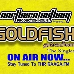 D Jay Raj - GoldFish (Thangaminah)