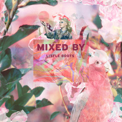 MIXED BY Little Boots