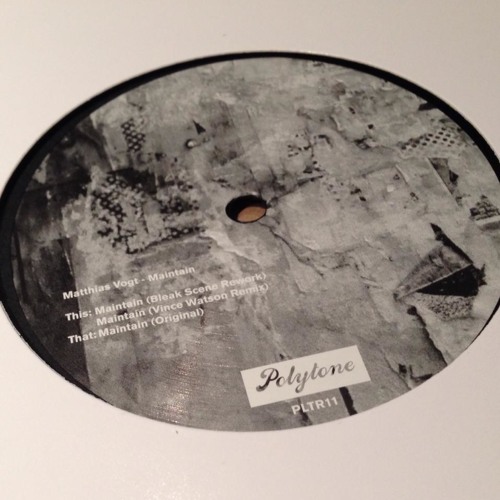 Matthias Vogt - Maintain (Vince Watson Remix) | PLTR011