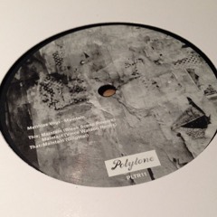Matthias Vogt - Maintain | PLTR011