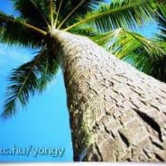 2014 CONSCIOUS REGGAE MIX PT 1