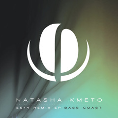 Natasha Kmeto - Idiot Proof (Player 2 Remix)