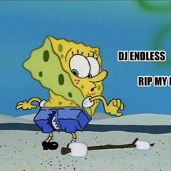 DJ Endless - Spongbob Rip My Pants(Lab)