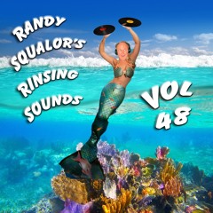Randy Squalor - Rinsing Sounds Vol 48